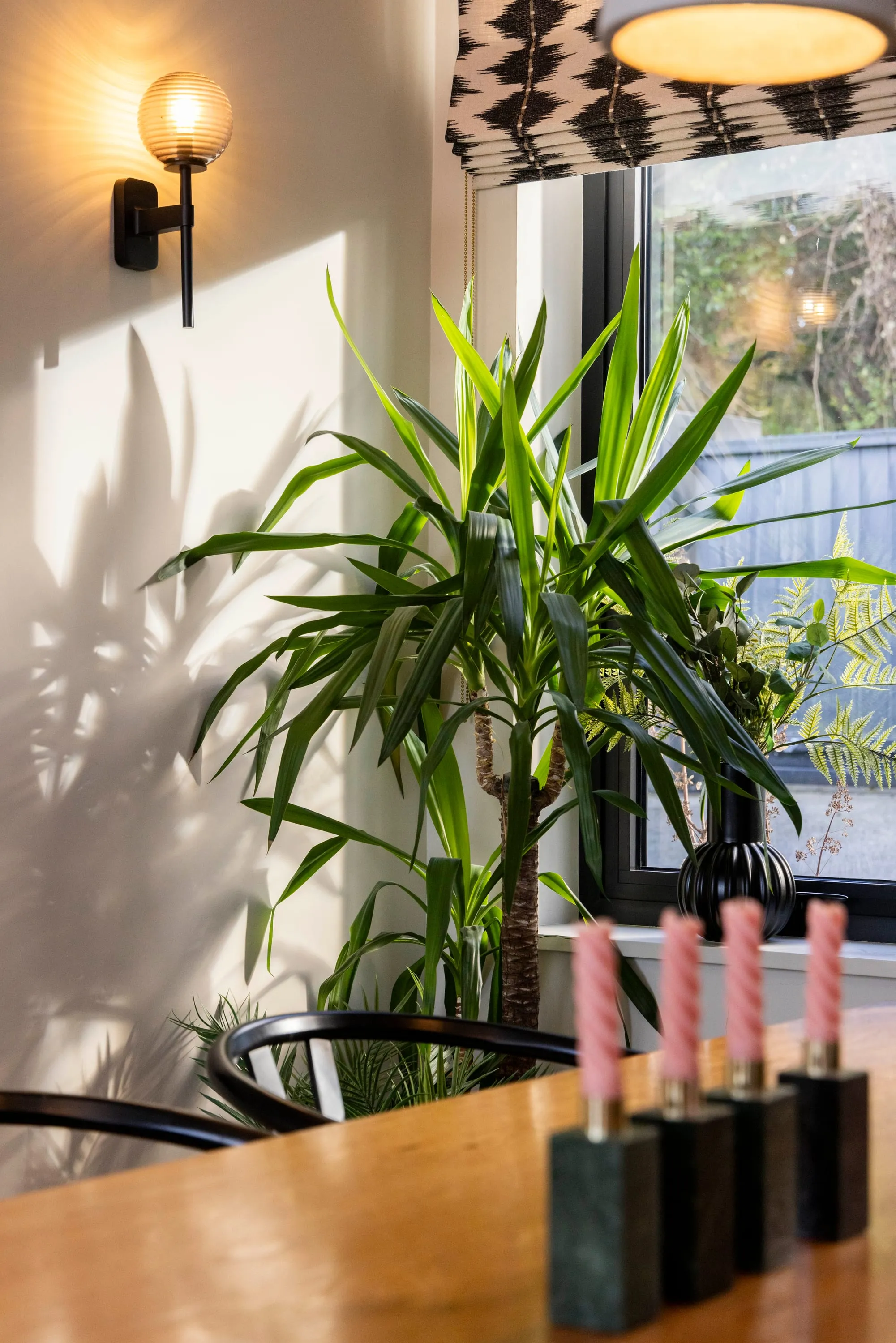 Wall light and plants by the dining table