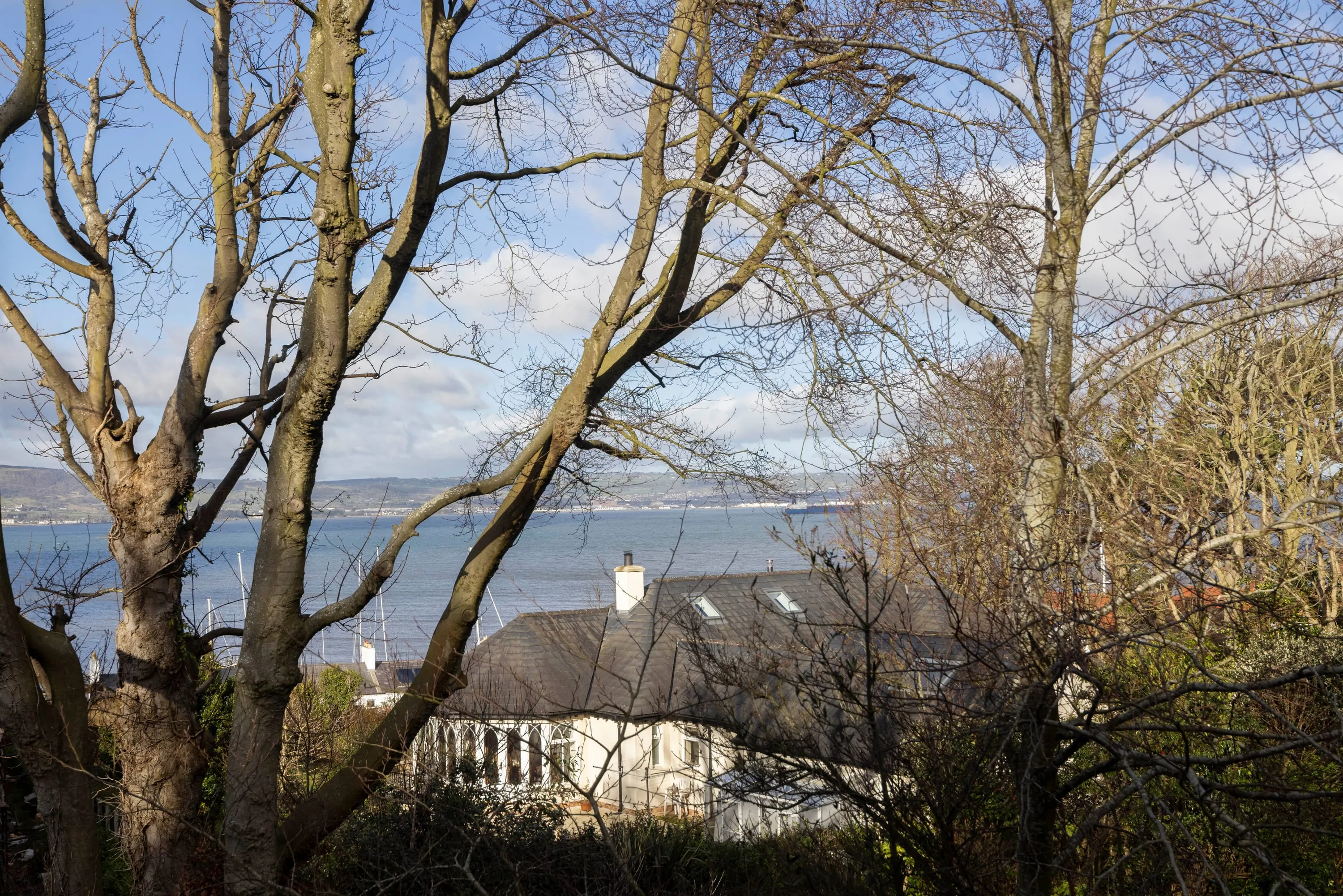 Belfast Lough seen through the trees from the garden